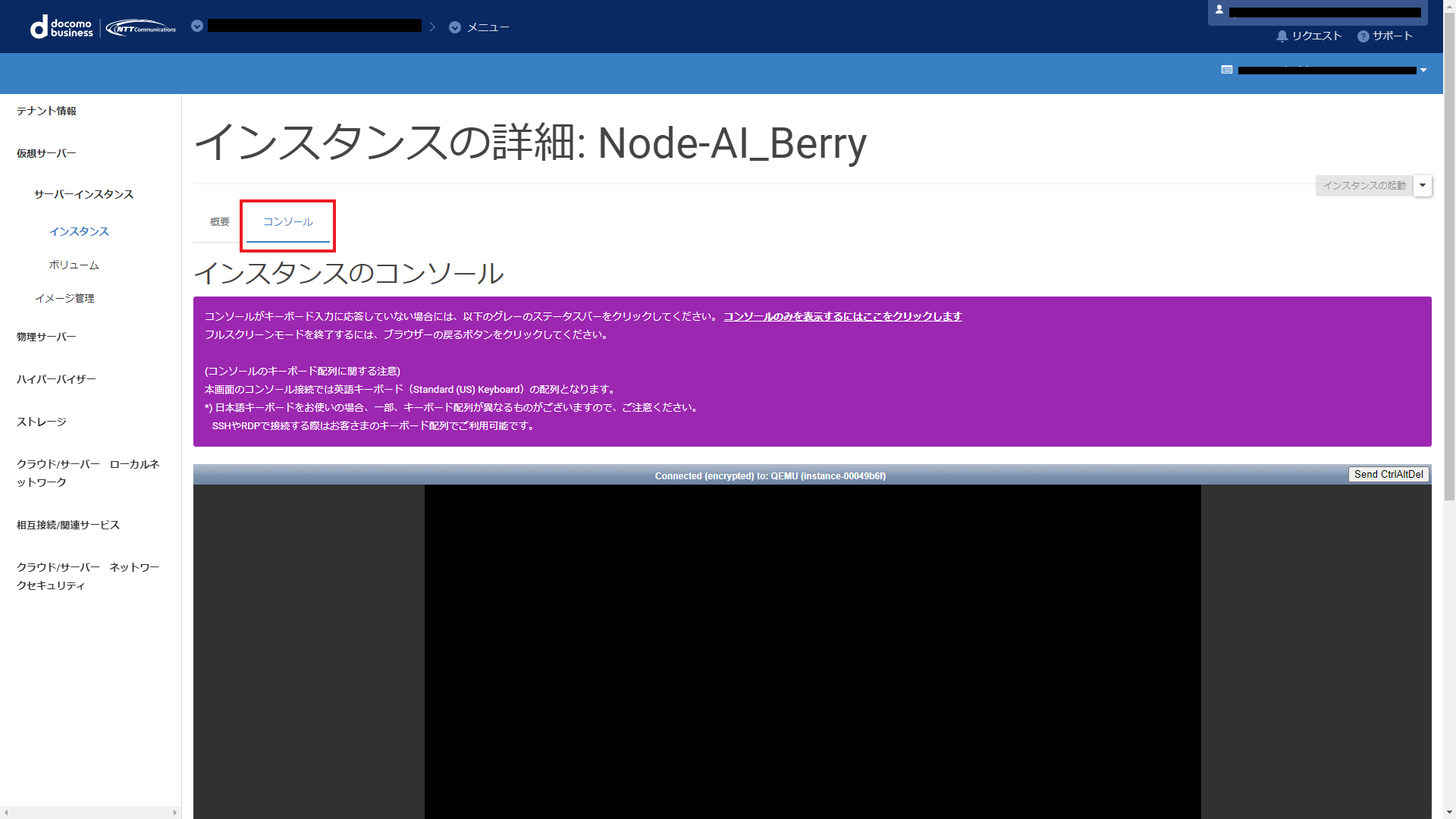サーバーインスタンス構築- コンソールタブ画面